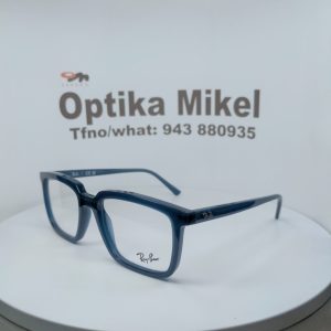 RAY BAN 7239 8256 54*18